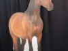 horse-right-stand-up-504-24