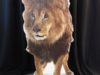 lion-stand-up-125-220